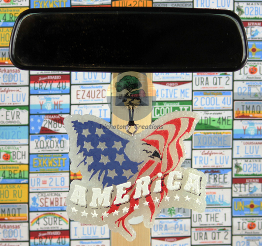 America Eagle
