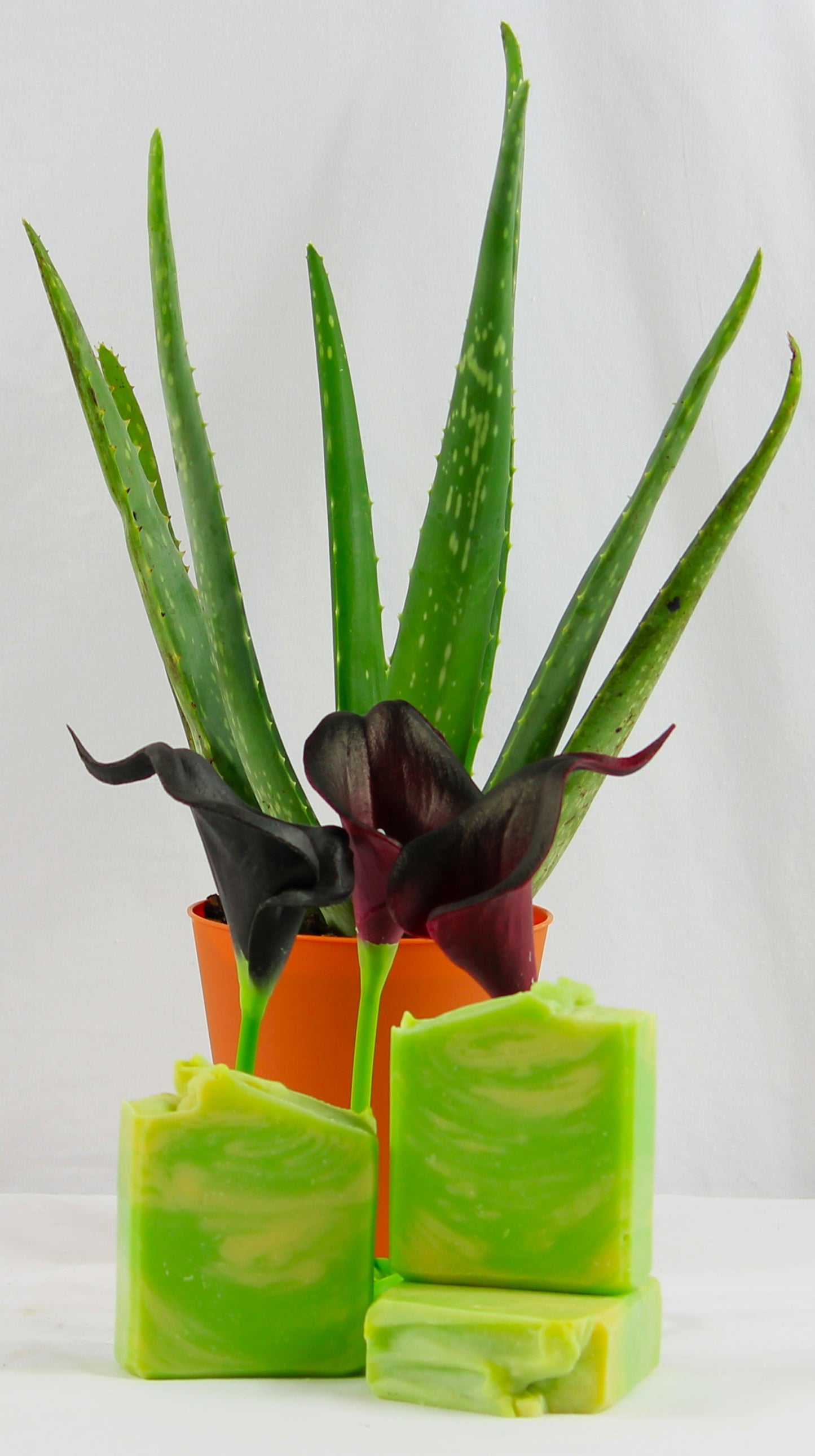 Handmade soaps displayed in front of calla lillies and an aloe plant