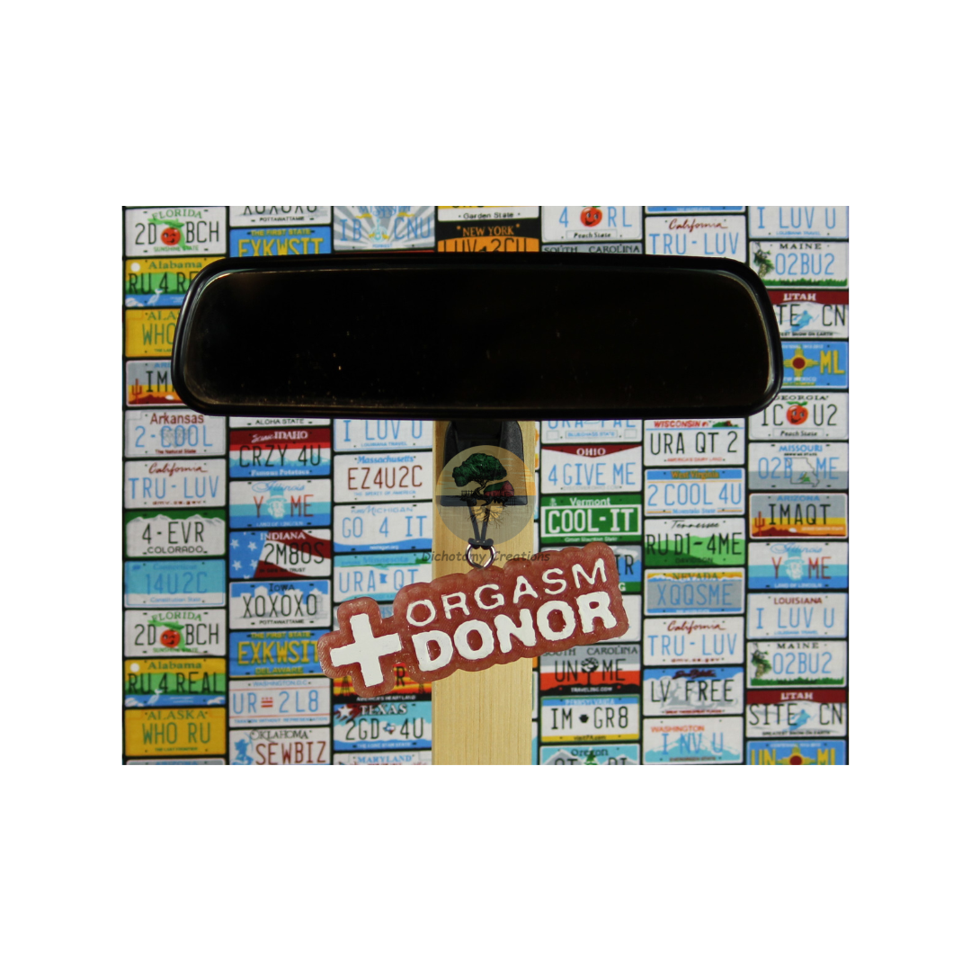 Orgasm Donor Freshie