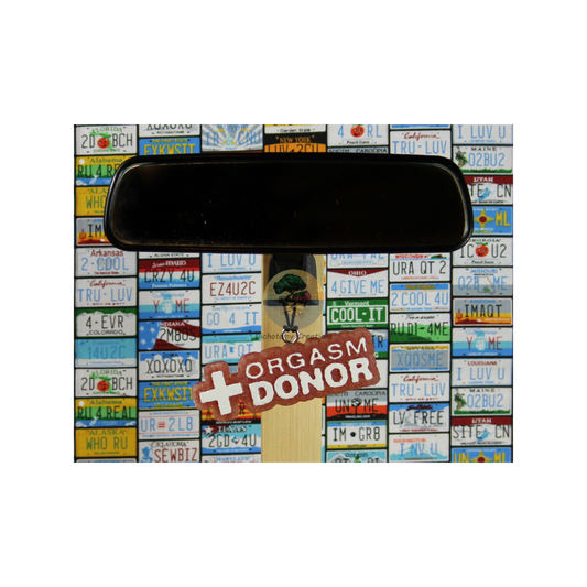 Orgasm Donor Freshie